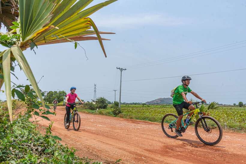 Siem Reap: Countryside Sunset Bike Tour / E-Bike or Tuk Tuk - The lotus-farm sunset: the calm payoff with cold drinks
