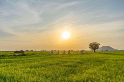 Siem Reap Countryside Sunset Vespa Tour or Tuk Tuk - Getting to the start: pickup, timing, and what to bring