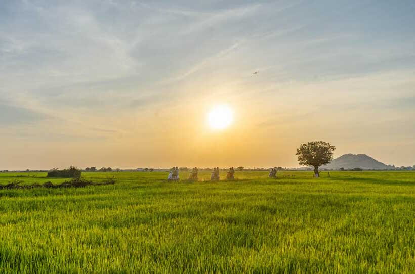 Siem Reap Countryside Sunset Vespa Tour or Tuk Tuk - Chreav Market: the liveliest hour of the day