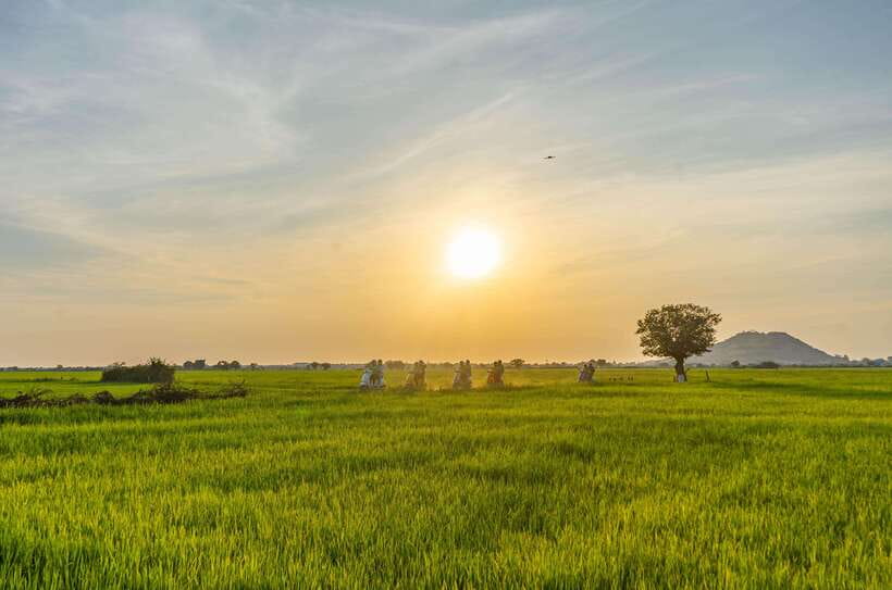 Siem Reap Countryside Sunset Vespa Tour or Tuk Tuk - Getting to the start: pickup, timing, and what to bring
