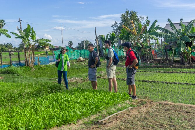 Siem Reap Countryside Sunset Vespa Tour / Tuk Tuk Available - Small Group, Big Ease: What Makes It Feel Personal