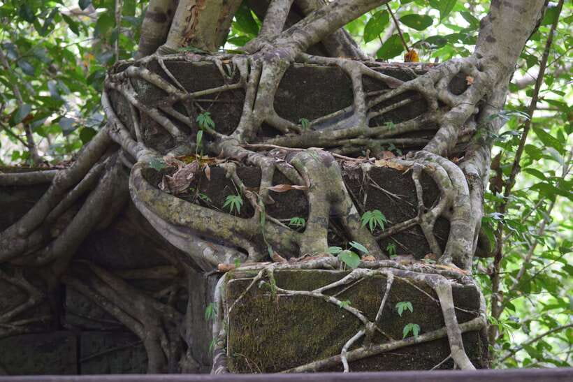 Siem Reap: Day Trip to Koh Ker and Beng Mealea Temples - Beng Mealea Temple: A Late 11th-Century Jungle Complex