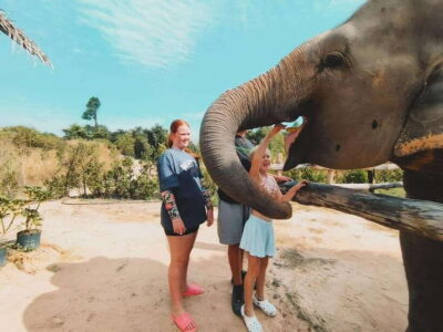 Siem Reap: Elephant Sanctuary Included Hotel Pickup Drop-off - Meal Prep and Feeding: The Hands-On Part That Actually Feels Like Care