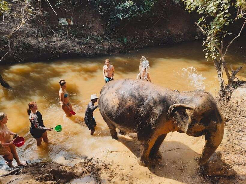 Siem Reap: Elephant Sanctuary Included Hotel Pickup Drop-off - Should You Book This Siem Reap Elephant Sanctuary Tour?