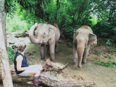 Siem Reap: Elephants & Apopo Rat Demining Private Trip - Pickup and small-group timing outside Siem Reap