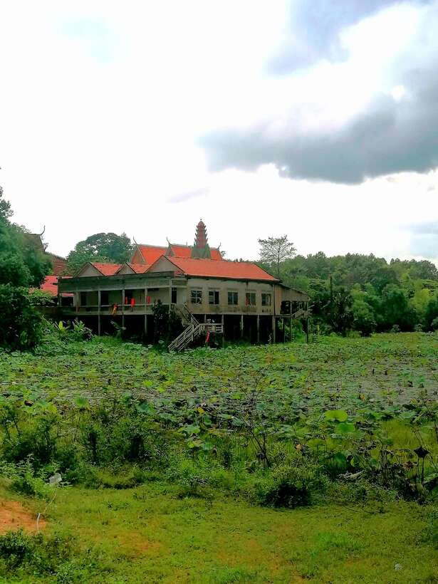 Siem Reap: Fishing in the rice fields, in the villages of Siem Reap - Key highlights at a glance