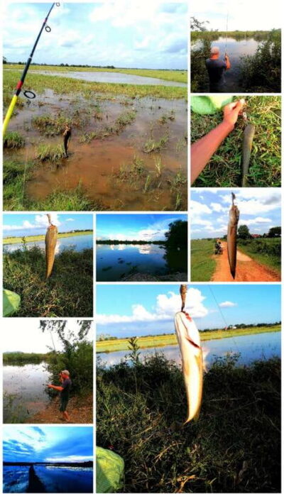 Siem Reap: Fishing in the rice fields, in the villages of Siem Reap - 7 a.m. scooters, 20 to 30 km out, and why the early start matters