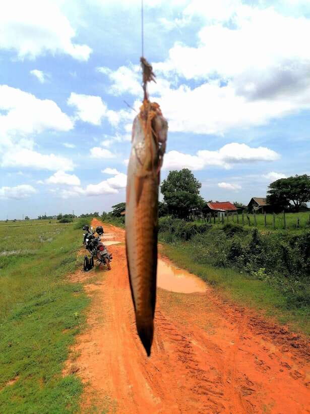Siem Reap: Fishing in the rice fields, in the villages of Siem Reap - Afternoon fishing: moving spots based on water level and fish stock