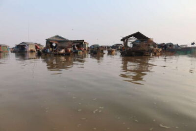 Siem Reap: Floating Village Tour - Free pickup, lotus farm color, and Cambodia countryside on the way