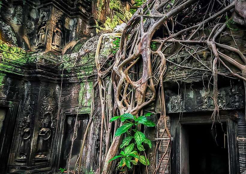 Siem Reap: Full-Day Angkor Wat Guided Tour with Sunset - Angkor Wat: The Biggest Magnet, Explained the Right Way