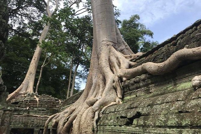 Siem Reap Full Day Angkor Wat Tour Small Group - Price and Entrance Fees: The Real Math Before You Commit