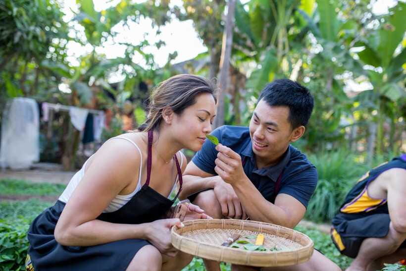 Siem Reap: Khmer Cooking Class at a Local's Home - Price and Value: Why $29 Usually Feels Fair Here