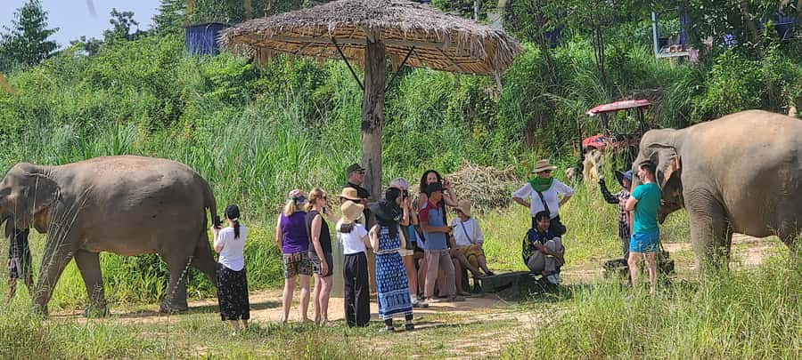 Siem Reap: Kulen Elephant Forest Guided Tour - Key highlights at a glance