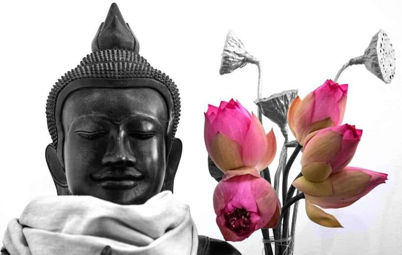 Siem Reap Lotus Silk Farm Discovery tour & Lake experience - Key takeaways before you go