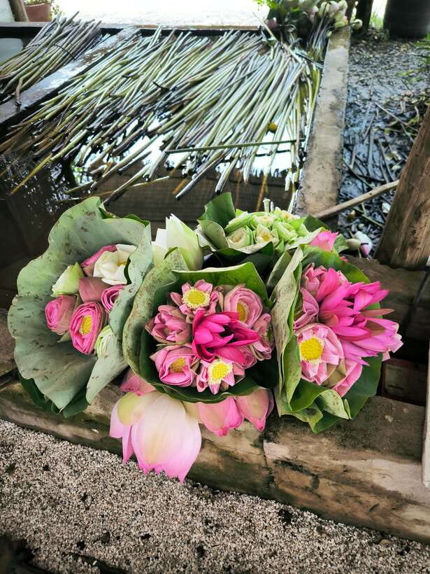 Siem Reap Lotus Silk Farm Discovery tour & Lake experience - Who should book this (and who should skip it)