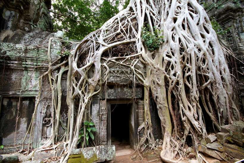 Siem Reap: Private Tour of Angkor Complex - Bayon Temple and Baphuon: when the carvings do the talking