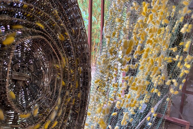 Siem Reap: Silk Farm & Countryside Offbeat Jeep Tour - Group size, flexibility, and what makes it feel offbeat