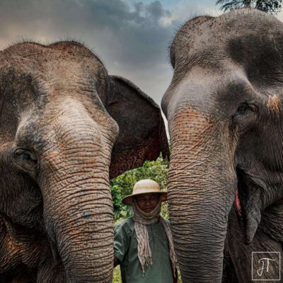 Siem Reap: Small Group Tour of Kulen Elephant Forest - Getting from Siem Reap: shuttle timing and how to not feel rushed