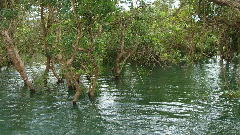 Siem Reap: Tonle Sap, Kampong Phluk & Floating Village Tour - Who Should Book (and Who Might Want a Different Day Trip)