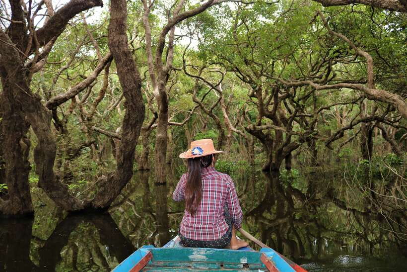 Siem Reap: Tonle Sap Lake - Fishing Village & Flooded Forest - Tonle Sap’s Flooded Forest: The Main Character Here