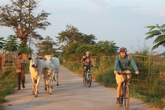 Silk Island at Twilight Cycle Encounter - Key highlights to know before you go