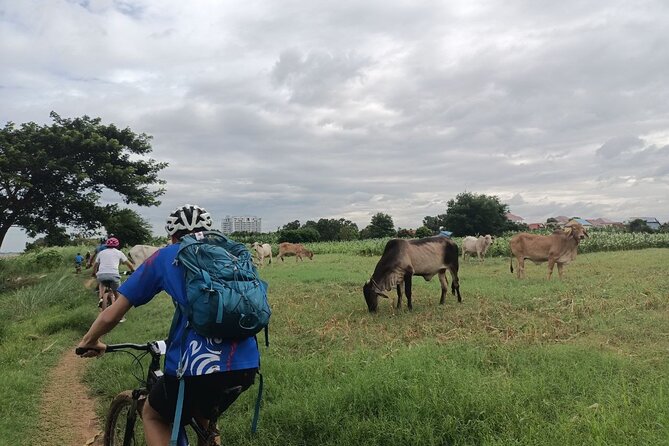 Silk Island at Twilight Cycle Encounter - From pickup to ferry dock: how the ride starts (and why it works)
