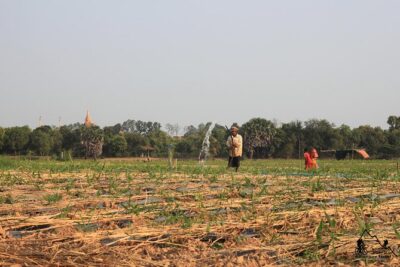 Silk Island & countryside of Phnom Penh by Tuk Tuk - Phsar Areyksat: a market start with real smells and everyday life