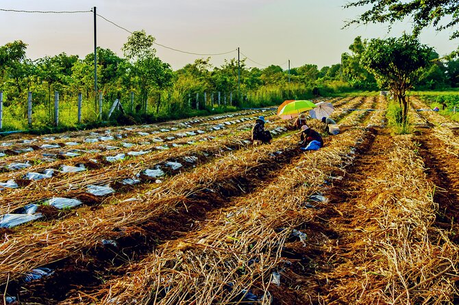 Silk Island Private Half-Day Tour from Phnom Penh - Price and value: is $97 per person fair for what you get?