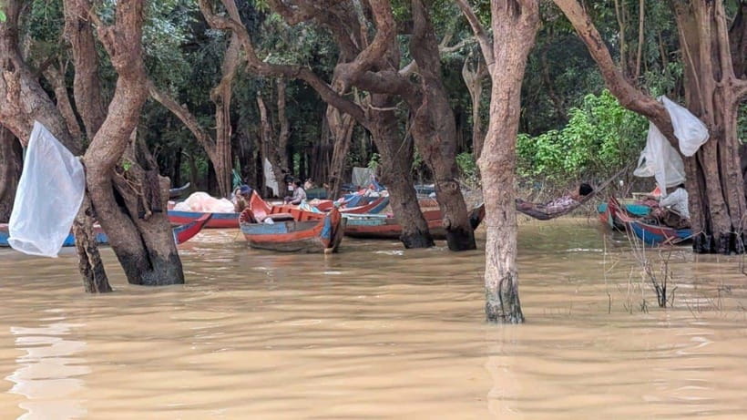 Sunset Kompong Pluk Floating Village - The Countryside Drive: Rice Fields, Villages, and Real Distance