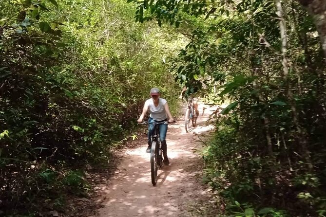 Sunset or sunrise bicycle tour around Angkor Wat and nearby temples - Angkor Thom and Bayon: faces, gates, and that iconic chaos