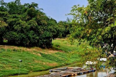Tuk Tuk Tour (Full-Day) - Morning Stops: Khmer Rouge History and Hands-On Food Culture
