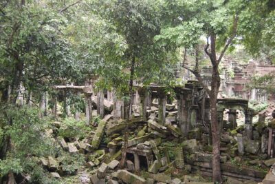 Two Days Angkor Wat Park-Beng Mealea and Kampong Phluk Village - Ta Prohm is the mood shift: jungle temple time on purpose
