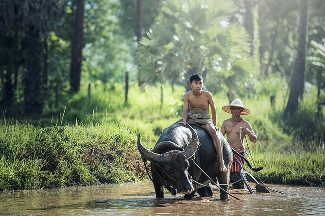 Village Life Tour from Siem Reap - Key highlights you’ll remember