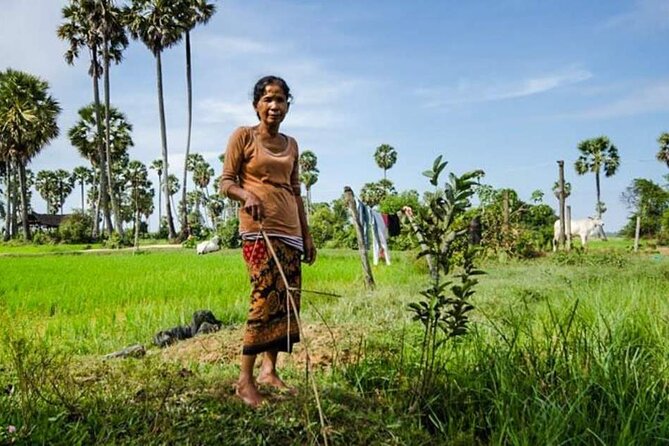 Village Life Tour from Siem Reap - The Morning Start: Pickup, Minivan Comfort, and Timing
