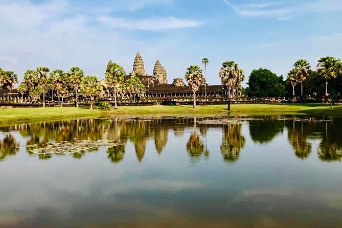 Wildlife Expedition: Elephant Sanctuary, Kbal Spean Banteay Srei - Ta Prohm (Tomb Raider temple): why the movie connection isn’t just marketing